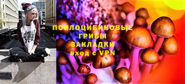 дурь Мегион