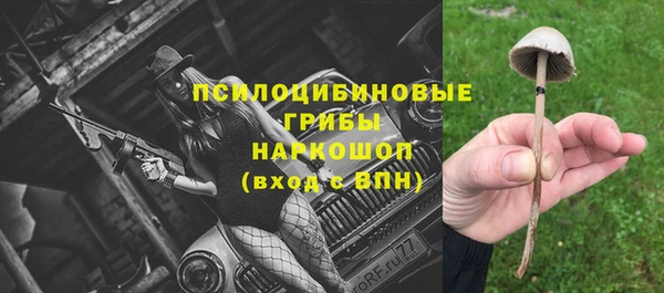 дурь Мегион