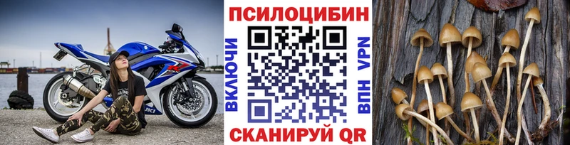 Галлюциногенные грибы мицелий  hydra tor  Златоуст 