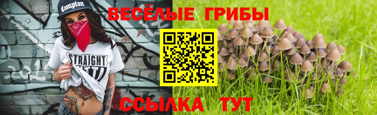 Галлюциногенные грибы мухоморы  Златоуст 