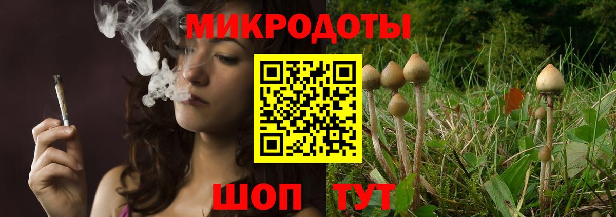 Златоуст  Галлюциногенные грибы прущие грибы  Вход с VPN 